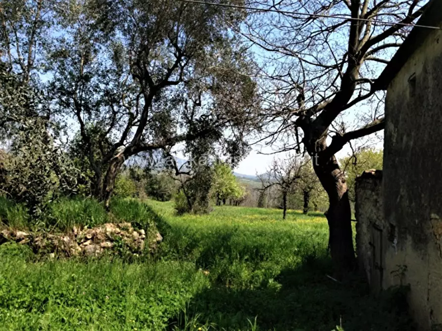 Immagine 5 di Rustico / casale in vendita  in Via Castagnarola a Baone