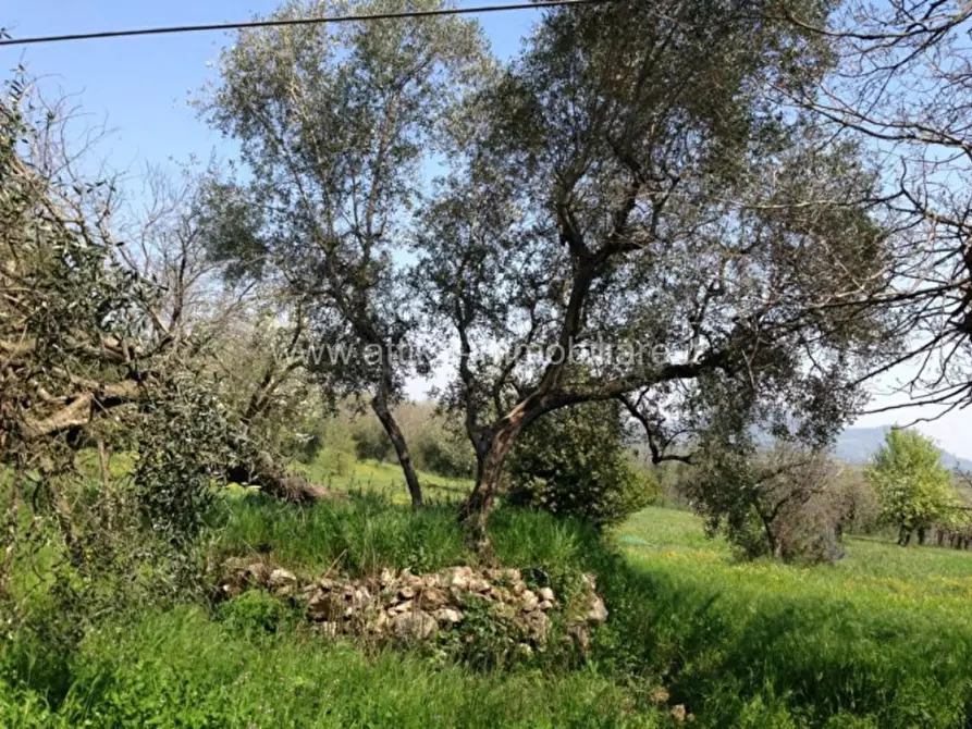 Immagine 6 di Rustico / casale in vendita  in Via Castagnarola a Baone