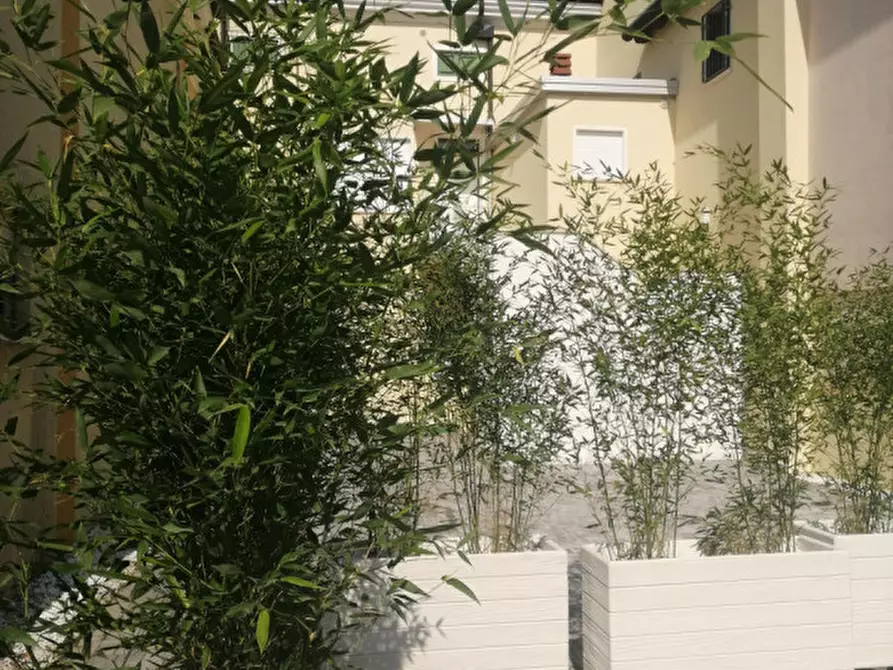 Immagine 26 di Appartamento in affitto  in Via XX Settembre a Camisano Vicentino