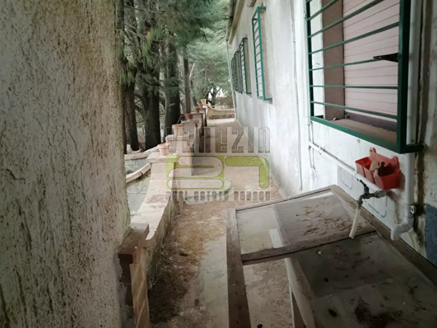 Immagine 13 di Villa in vendita  in contrada carrubella a Avola