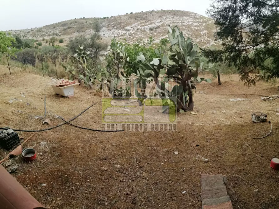 Immagine 14 di Villa in vendita  in contrada carrubella a Avola