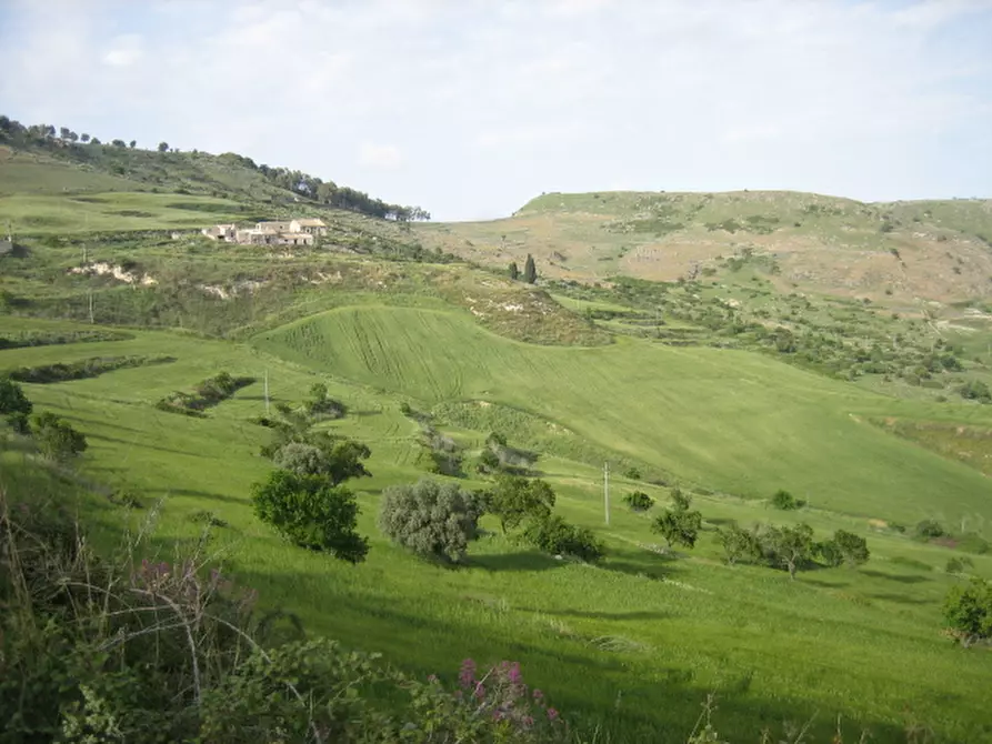 Immagine 1 di Terreno in vendita  in C.da Fontanelle a Giarratana