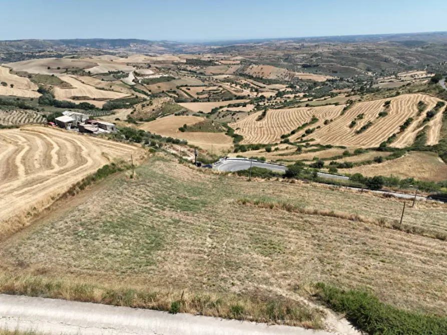 Immagine 11 di Terreno in vendita  in C.da Fontanelle a Giarratana