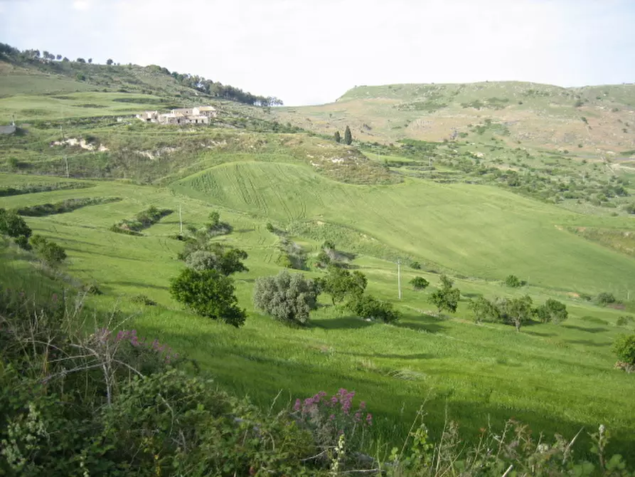 Immagine 28 di Terreno in vendita  in C.da Fontanelle a Giarratana
