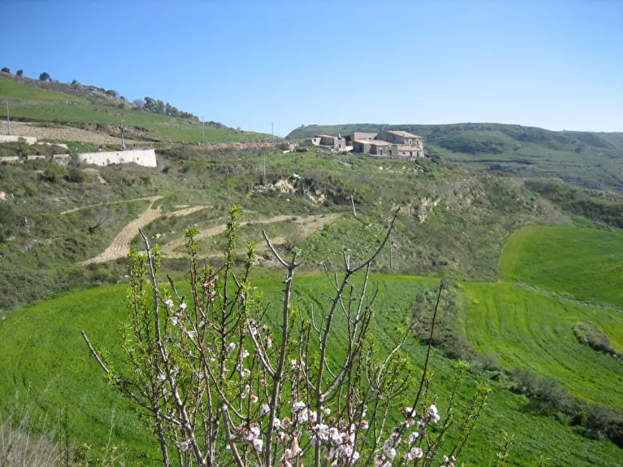 Immagine 31 di Terreno in vendita  in C.da Fontanelle a Giarratana