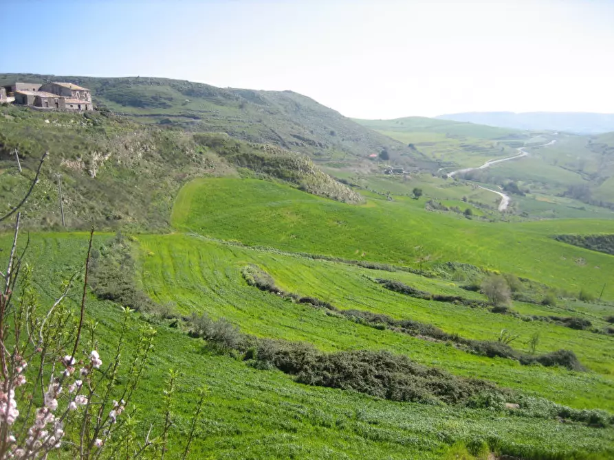Immagine 32 di Terreno in vendita  in C.da Fontanelle a Giarratana