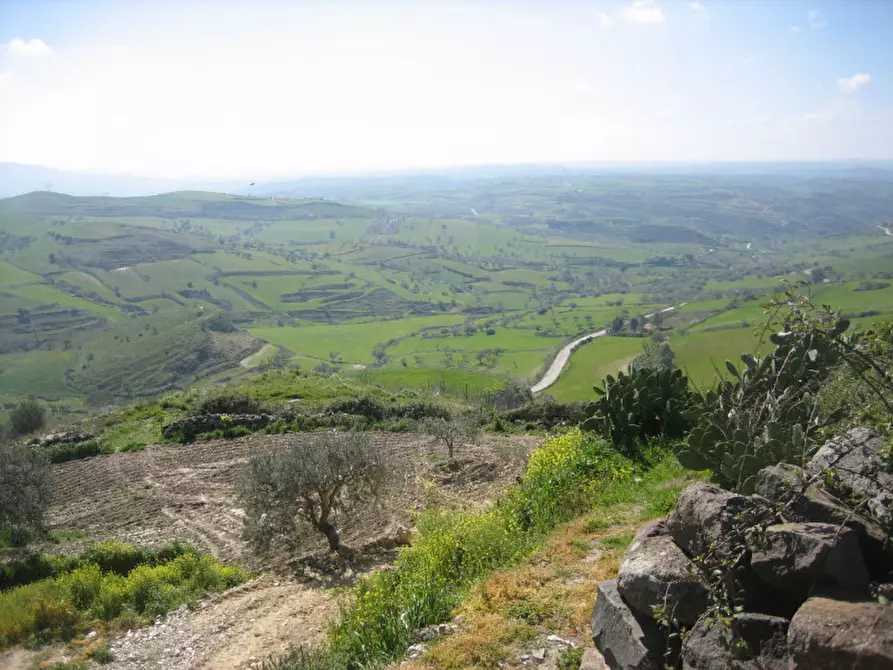 Immagine 33 di Terreno in vendita  in C.da Fontanelle a Giarratana