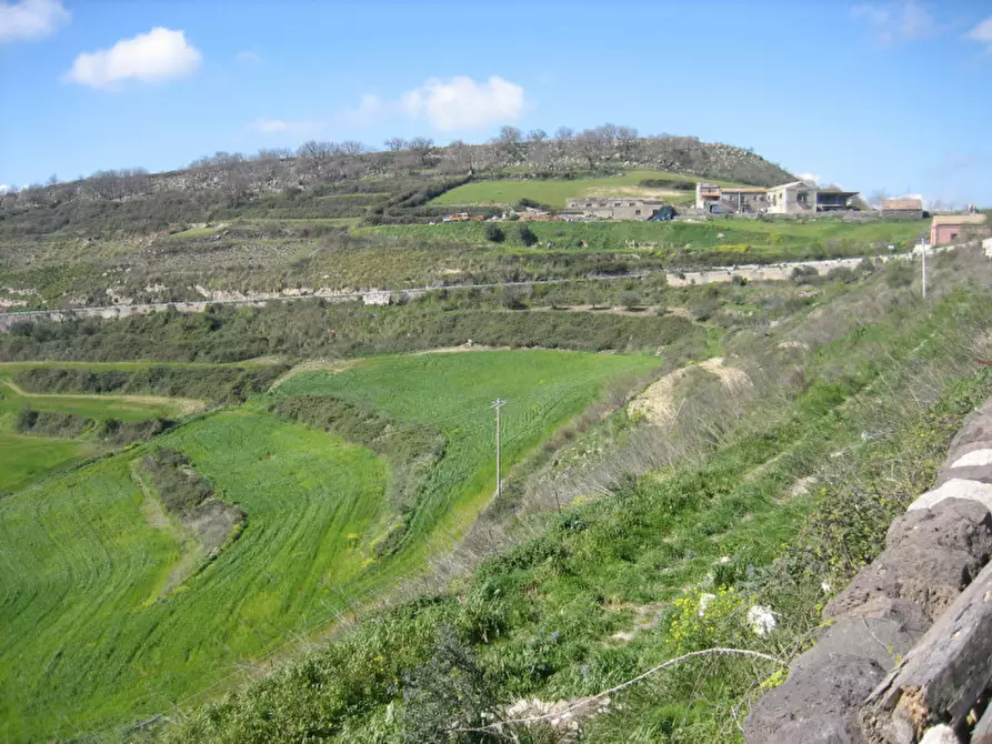 Immagine 34 di Terreno in vendita  in C.da Fontanelle a Giarratana