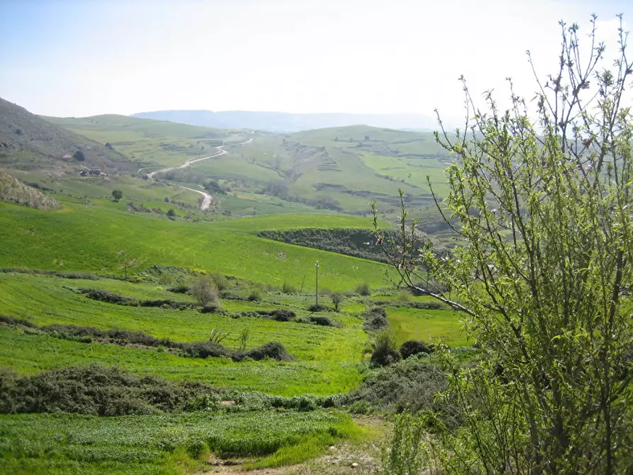 Immagine 39 di Terreno in vendita  in C.da Fontanelle a Giarratana