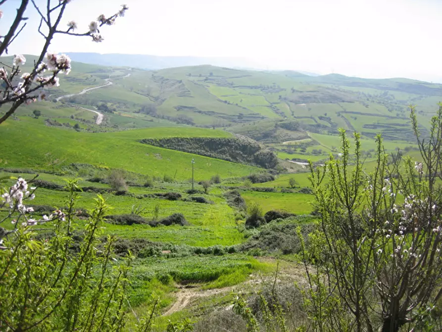Immagine 40 di Terreno in vendita  in C.da Fontanelle a Giarratana