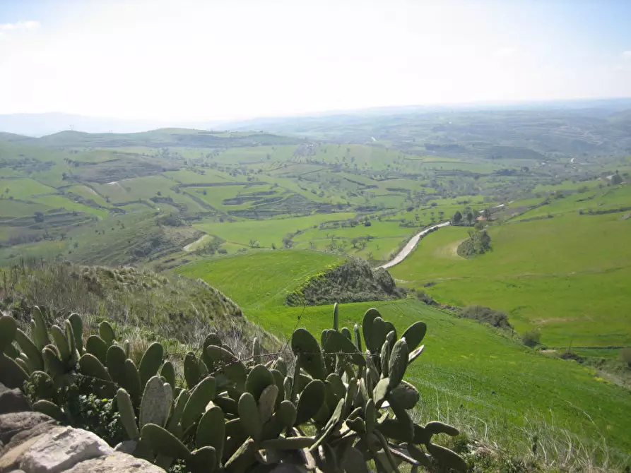 Immagine 41 di Terreno in vendita  in C.da Fontanelle a Giarratana