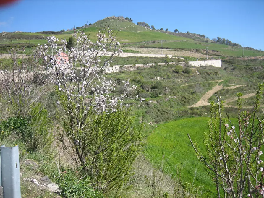 Immagine 43 di Terreno in vendita  in C.da Fontanelle a Giarratana