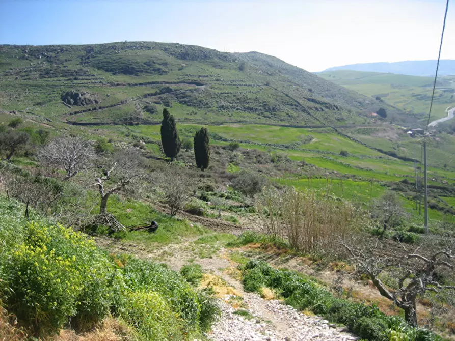 Immagine 45 di Terreno in vendita  in C.da Fontanelle a Giarratana