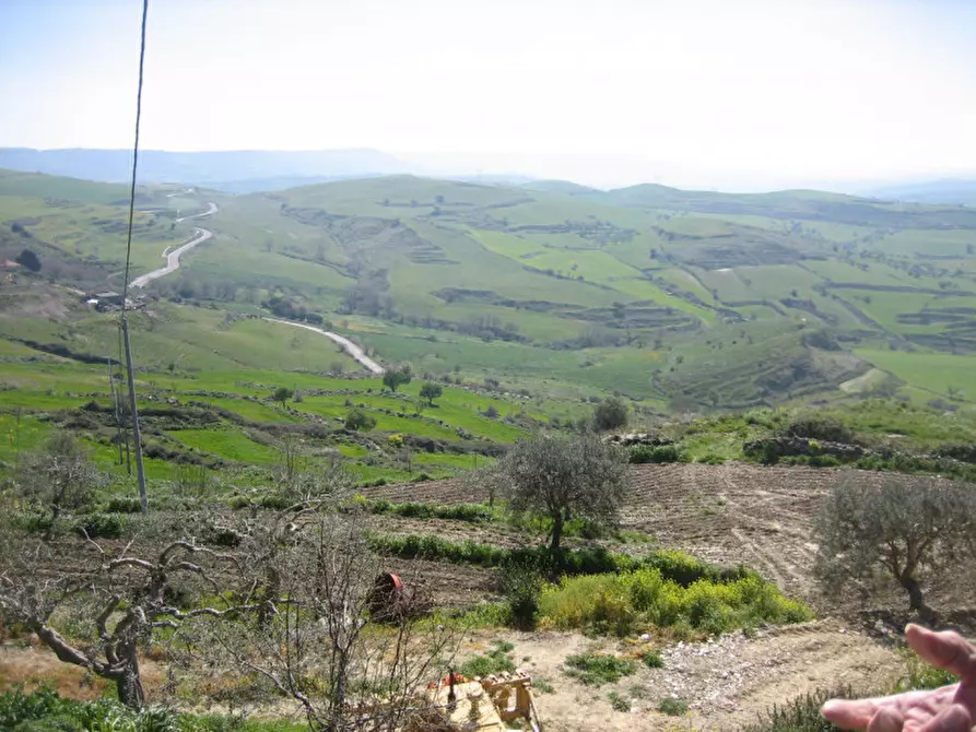 Immagine 46 di Terreno in vendita  in C.da Fontanelle a Giarratana