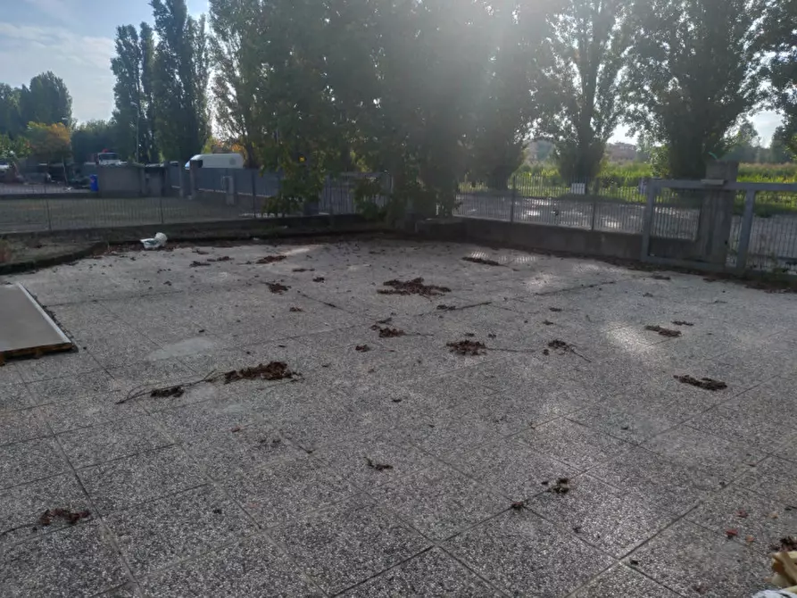 Immagine 7 di Capannone industriale in affitto  a Concordia Sulla Secchia