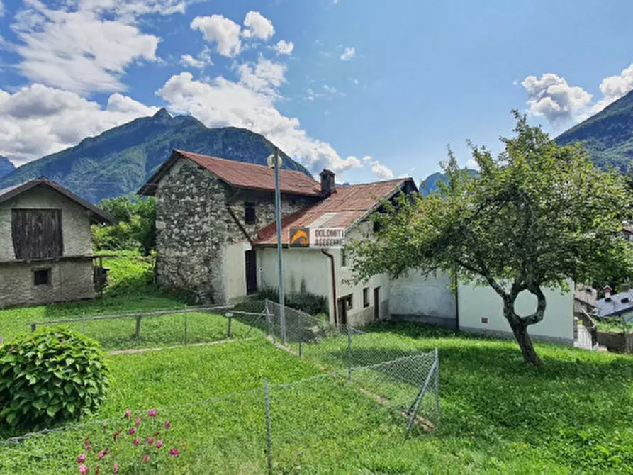 Immagine 3 di Appartamento in vendita  in Località Lonie a Rivamonte Agordino