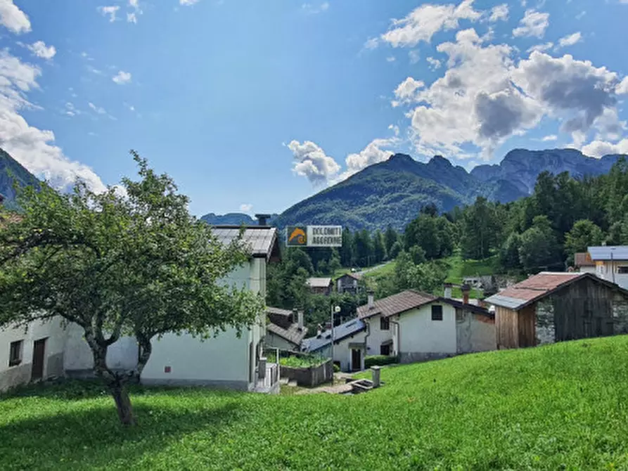 Immagine 4 di Appartamento in vendita  in Località Lonie a Rivamonte Agordino