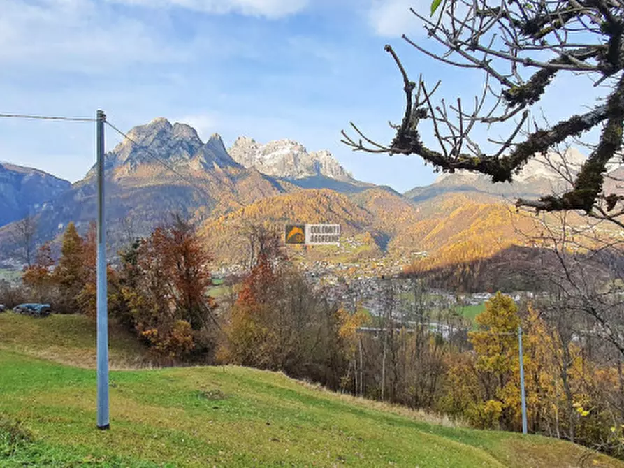 Immagine 13 di Appartamento in vendita  in Località Lonie a Rivamonte Agordino