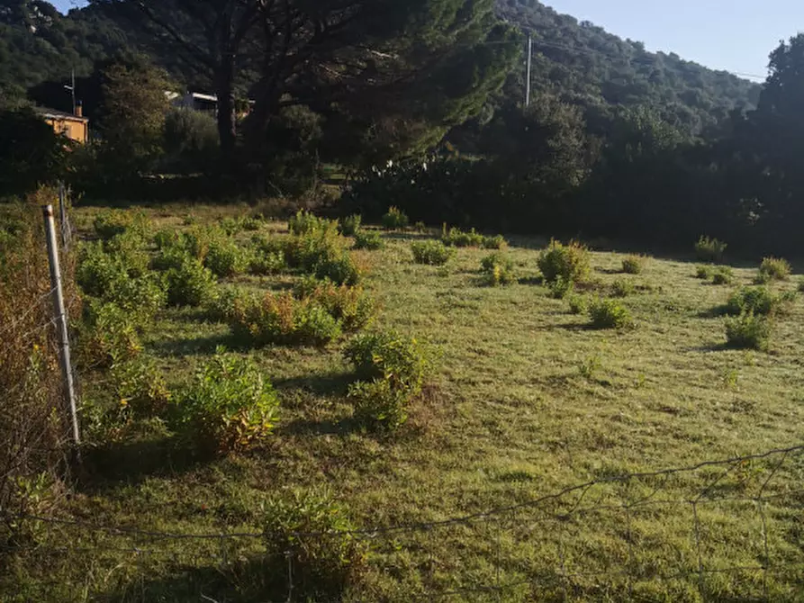 Immagine 7 di Terreno in vendita  in sp 87 a Loiri Porto San Paolo