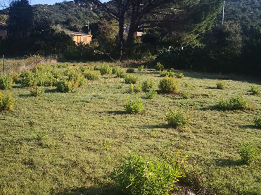 Immagine 8 di Terreno in vendita  in sp 87 a Loiri Porto San Paolo