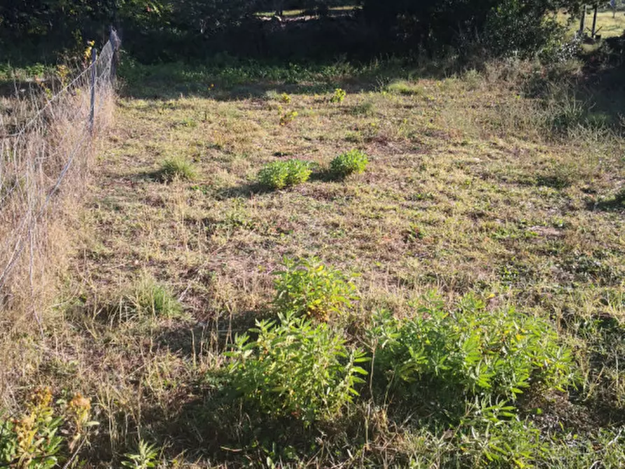 Immagine 10 di Terreno in vendita  in sp 87 a Loiri Porto San Paolo