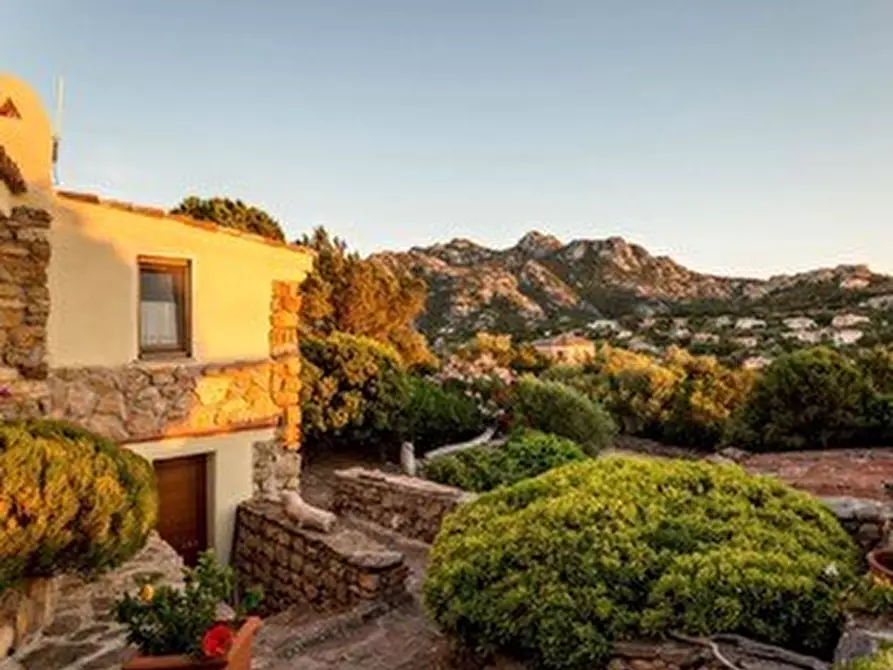 Immagine 3 di Villa in vendita  a Arzachena