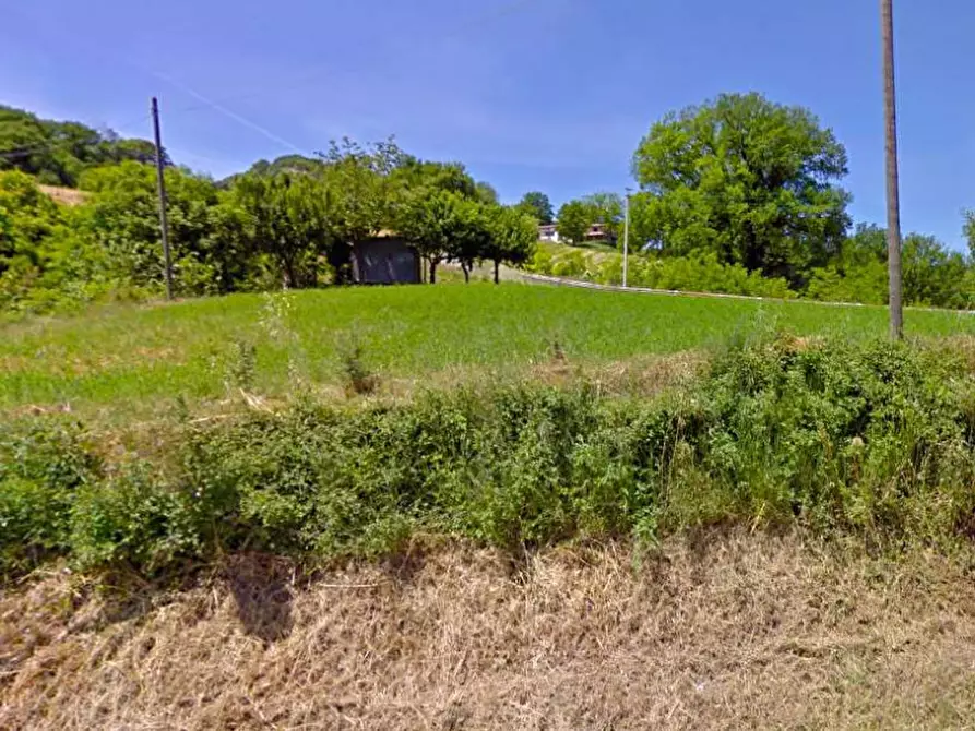 Immagine 5 di Terreno in vendita  in via dell'Artigianato a Acqualagna