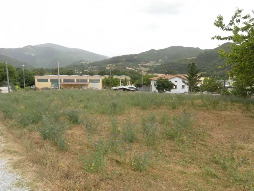 Immagine 6 di Terreno in vendita  in via dell'Artigianato a Acqualagna