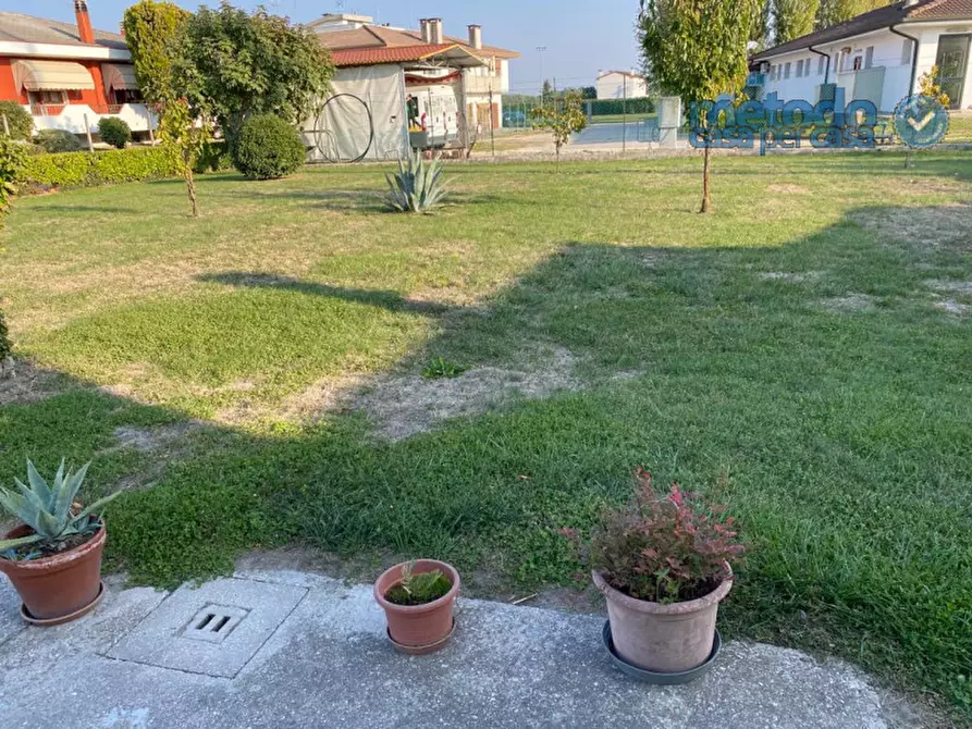 Immagine 2 di Terreno in vendita  a Villadose