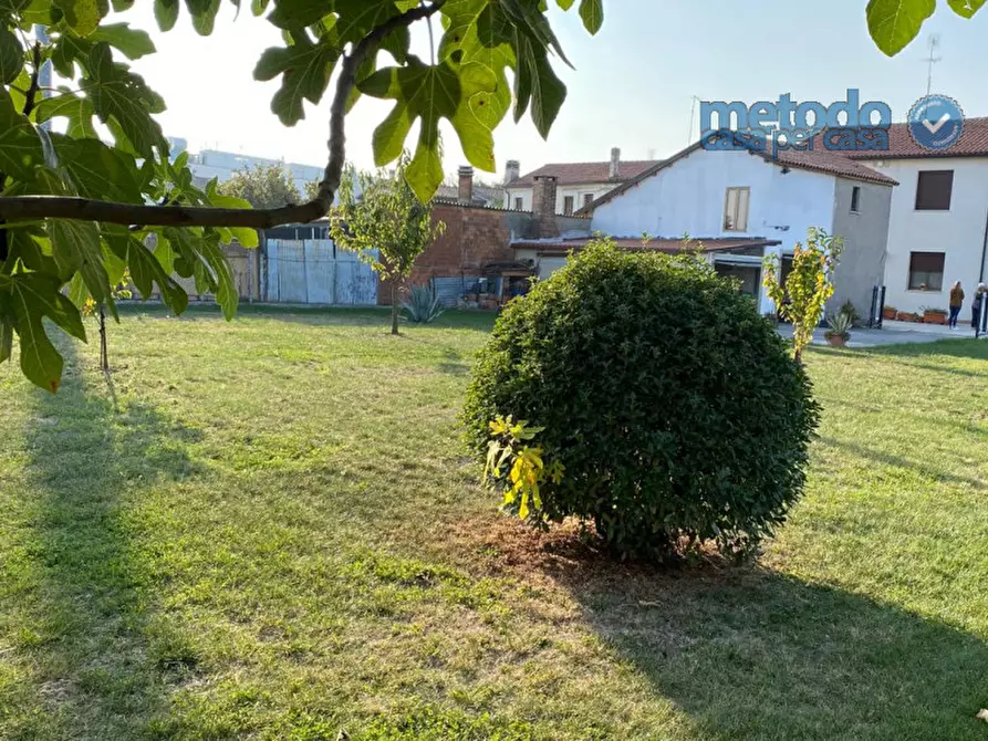 Immagine 4 di Terreno in vendita  a Villadose