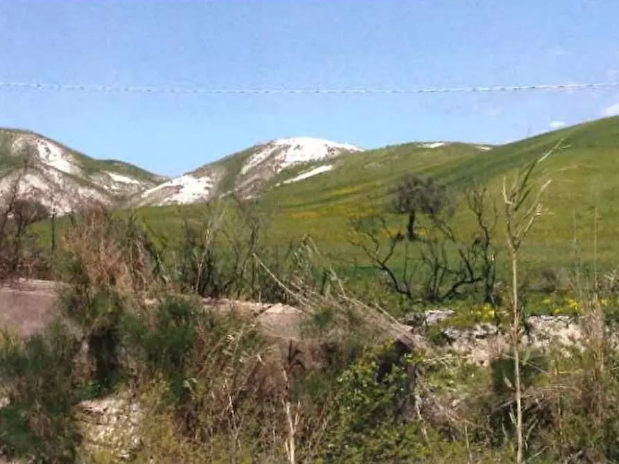 Immagine 2 di Terreno in vendita  in Località Ponzo a Santa Caterina Dello Ionio