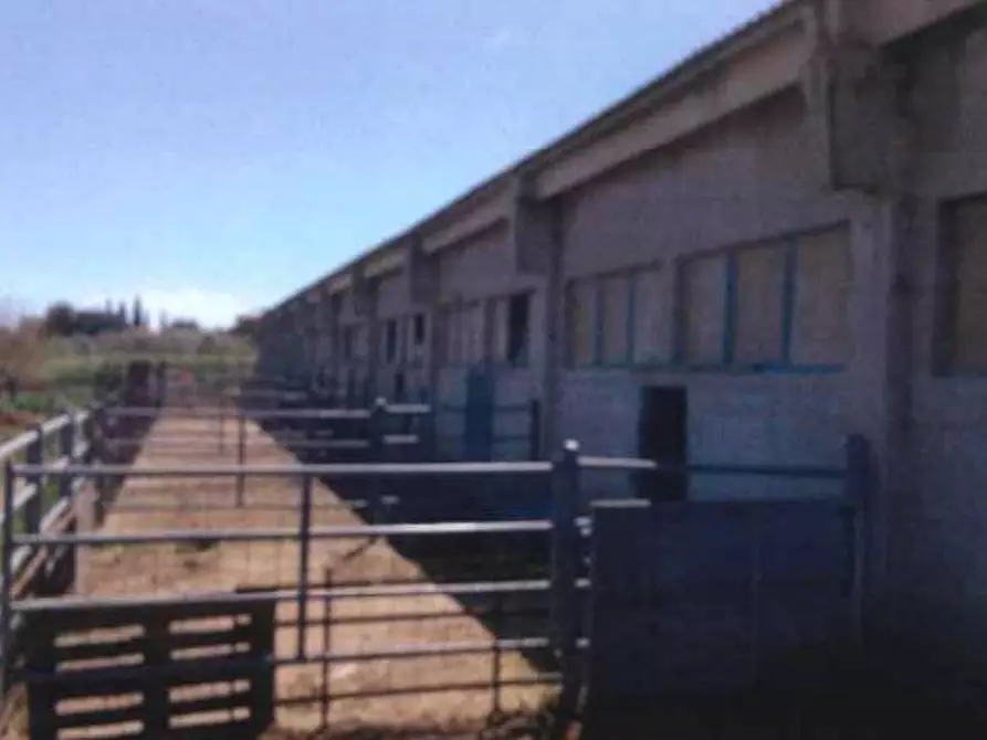 Immagine 4 di Terreno in vendita  in Località San Pietro a Santa Caterina Dello Ionio