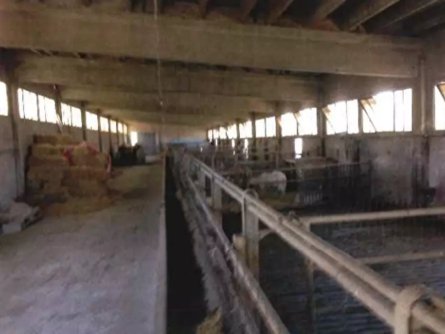 Immagine 5 di Terreno in vendita  in Località San Pietro a Santa Caterina Dello Ionio