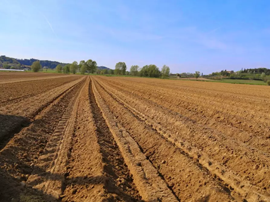 Immagine 1 di Terreno in vendita  in ZELARINO a Venezia