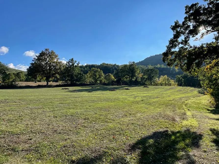 Immagine 5 di Casa indipendente in vendita  a Tramutola