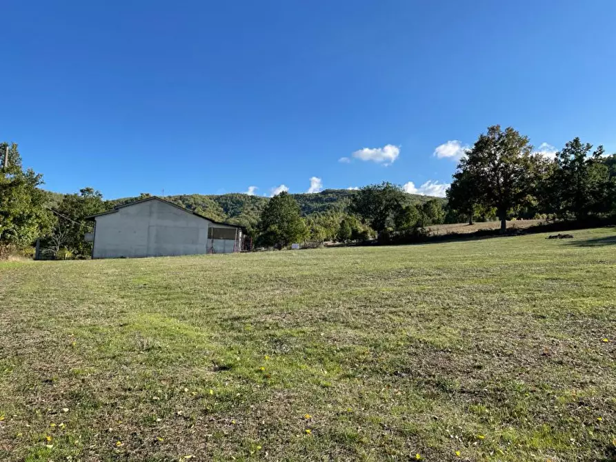 Immagine 6 di Casa indipendente in vendita  a Tramutola