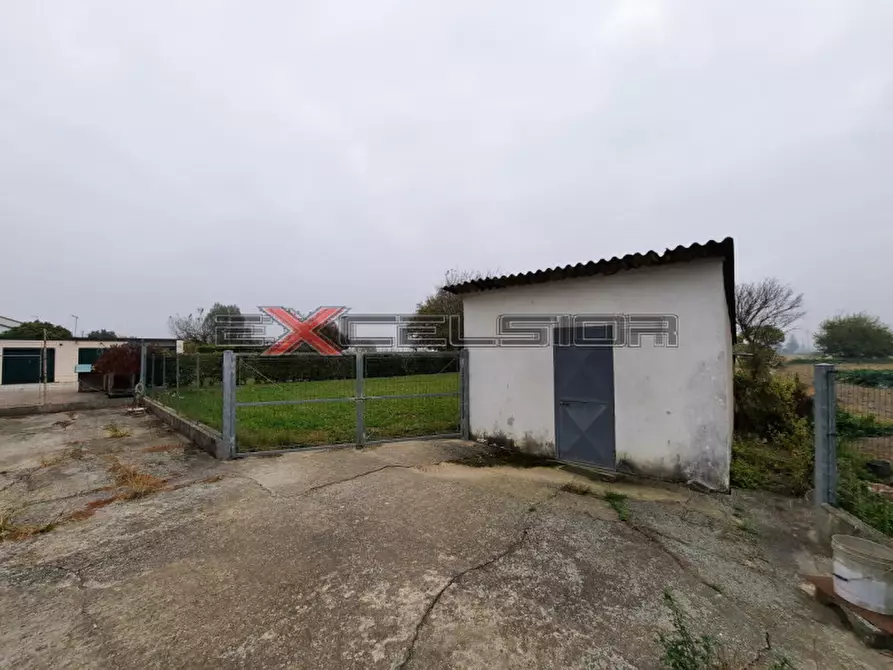 Immagine 6 di Casa bifamiliare in vendita  in Via G. Matteotti 20 bis a Cavarzere