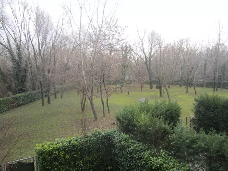 Immagine 5 di Appartamento in affitto  in v. Monte Asolone a Vicenza