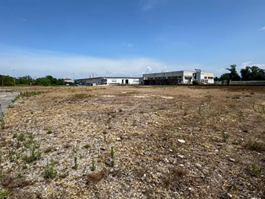 Immagine 5 di Terreno in vendita  in Via remis a San Vito Al Torre
