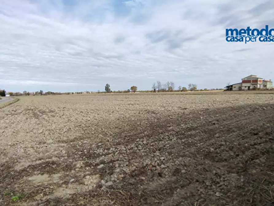 Immagine 3 di Terreno in vendita  in Bellombra Via Brombara a Adria