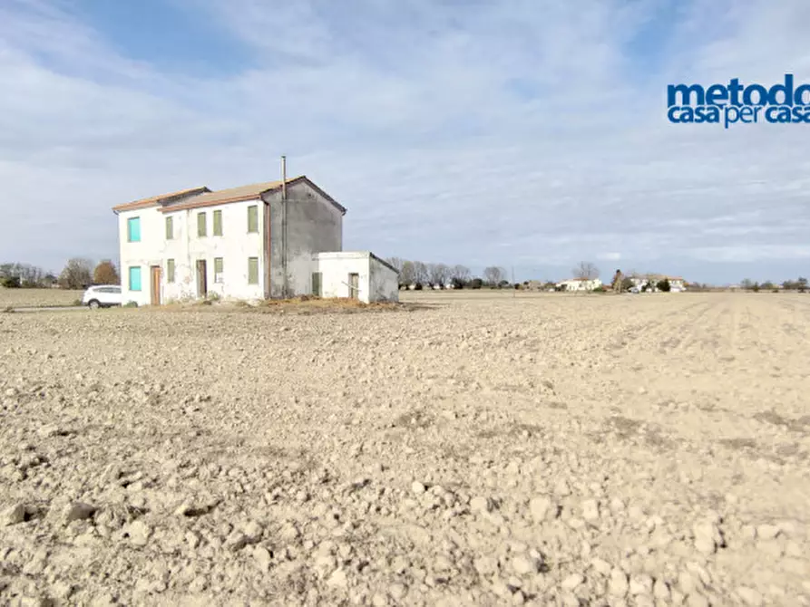 Immagine 4 di Terreno in vendita  in Bellombra Via Brombara a Adria