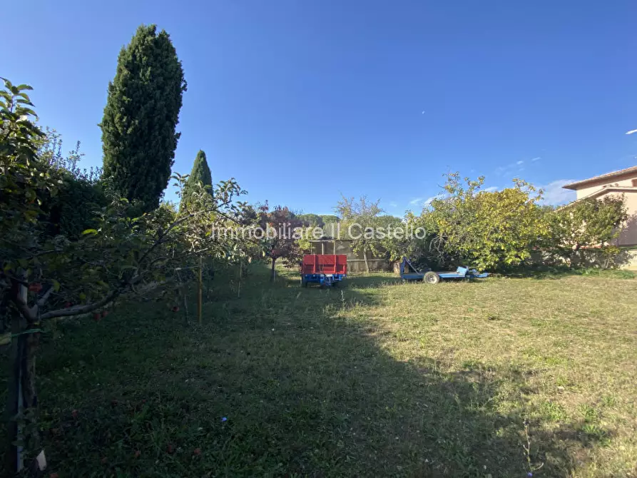 Immagine 2 di Terreno in vendita  a Castiglione Del Lago
