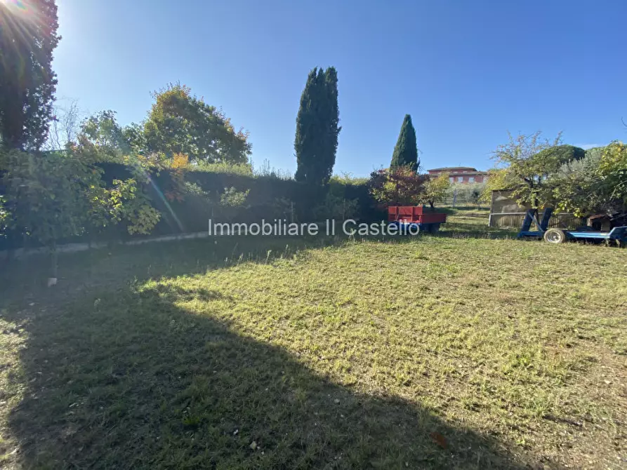 Immagine 4 di Terreno in vendita  a Castiglione Del Lago
