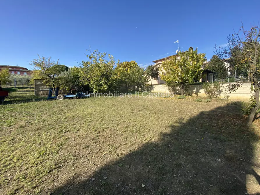 Immagine 5 di Terreno in vendita  a Castiglione Del Lago