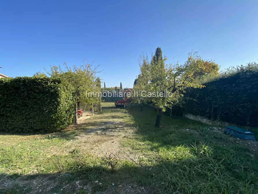 Immagine 7 di Terreno in vendita  a Castiglione Del Lago
