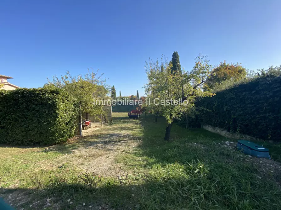 Immagine 8 di Terreno in vendita  a Castiglione Del Lago