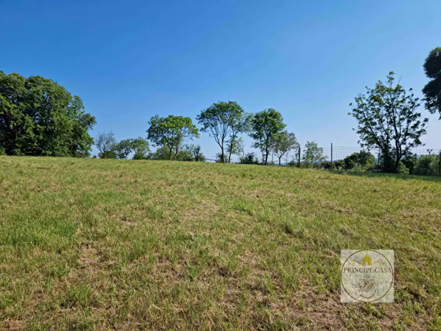 Immagine 2 di Terreno in vendita  a Baone