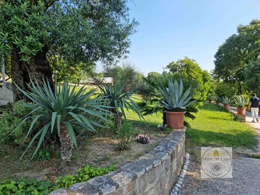 Immagine 4 di Terreno in vendita  a Baone