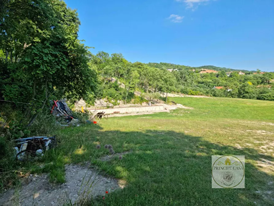 Immagine 8 di Terreno in vendita  a Baone