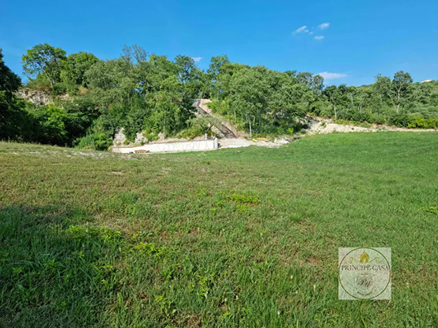 Immagine 11 di Terreno in vendita  a Baone